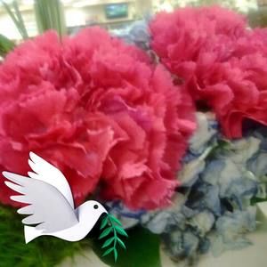 Meet your Posher, Toto